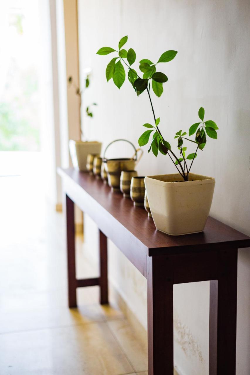 Mekosha Ayurveda Spa Suites Retreat & Resort Attingal 外观 照片