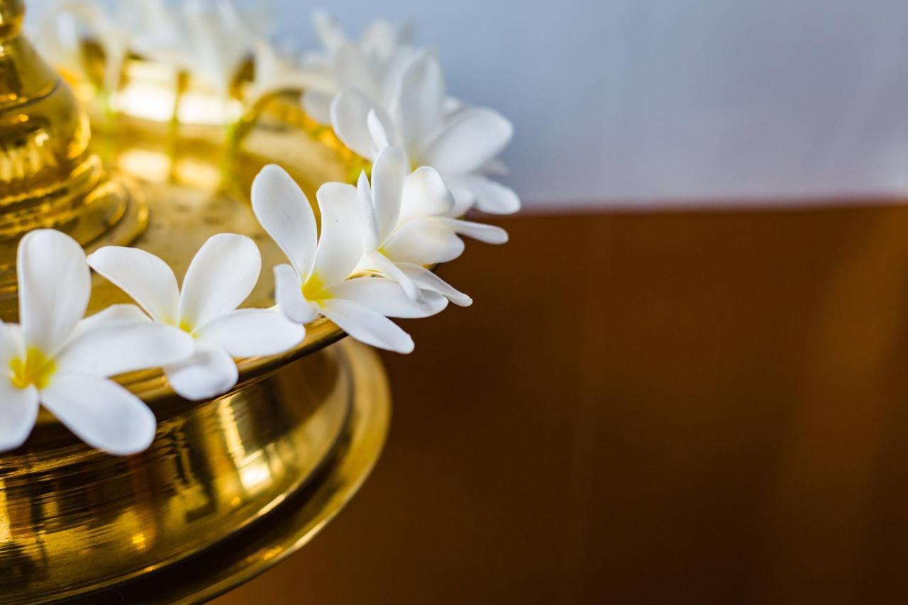 Mekosha Ayurveda Spa Suites Retreat & Resort Attingal 外观 照片