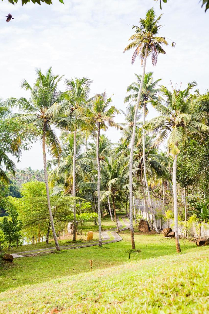 Mekosha Ayurveda Spa Suites Retreat & Resort Attingal 外观 照片